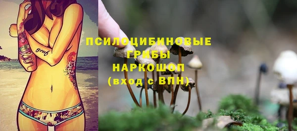 PSILOCYBIN Верхнеуральск